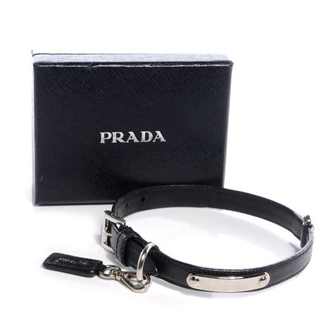 prada saffiano dog collar